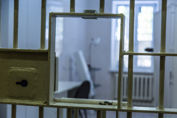 В Москве блогершу Рожкову арестовали на 10 суток из-за фото