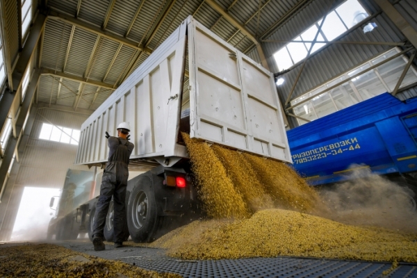 Российское зерно под видом казахстанского продавали в Узбекистан