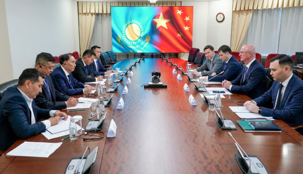 Fufeng Group вложит миллионы в переработку кукурузы в Казахстане