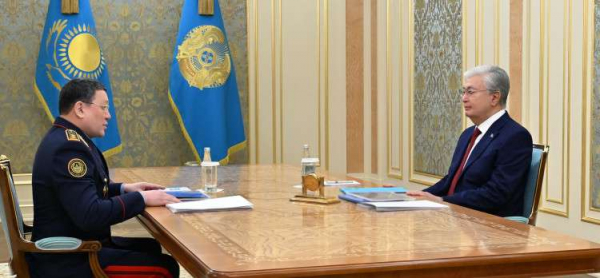 Президент принял министра внутренних дел Ержана Саденова