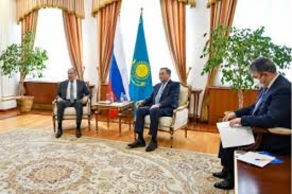 Горячую линию по защите животных запустили в Казахстане