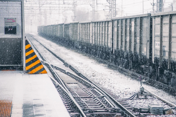 В Петербурге скоростных &laquo;Ласточек&raquo; временно заменят электропоезда &laquo;Стандарт&raquo;
