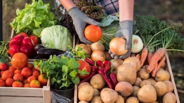 Где выгодно купить продукты в Астане