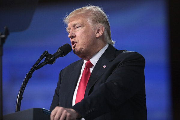 Дубравский рассказал, что может сделать Трамп ради устранения Зеленского