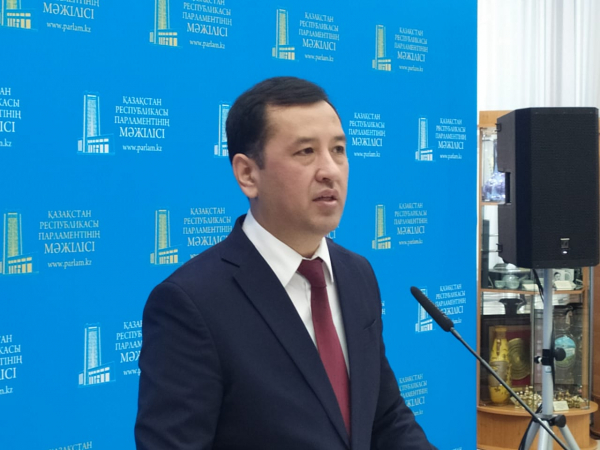 Мажилисменам представили законопроект об особом статусе Туркестана