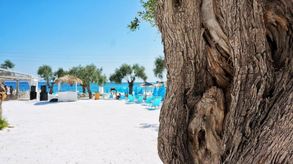 РИА Новости: песня &laquo;Сигма бой&raquo; покорила европейцев в отелях Египта