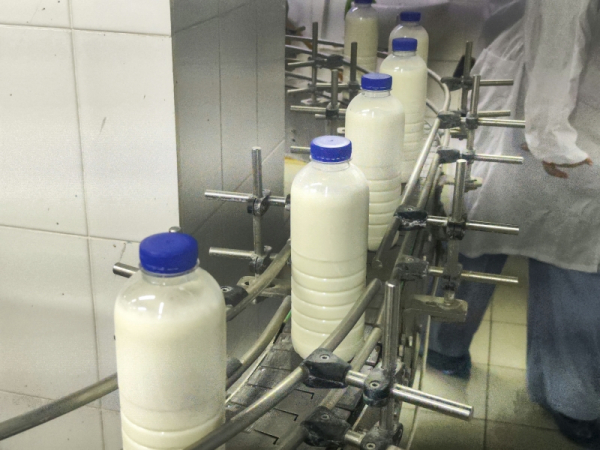 Искусственный интеллект выявил масштабную фальсификацию молочной продукции в Омской области