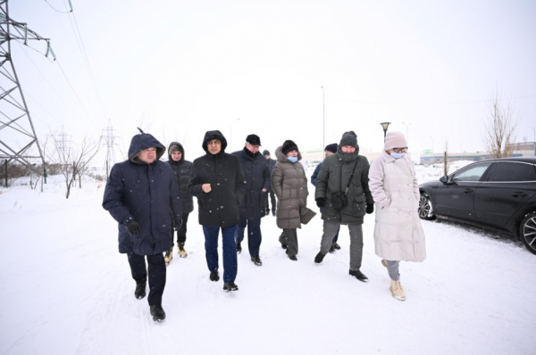 Законопроект о защите животных: сенаторы рассказали об изменениях
