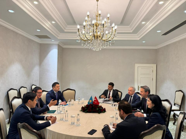 Турция выразила заинтересованность в транзите казахстанского газа