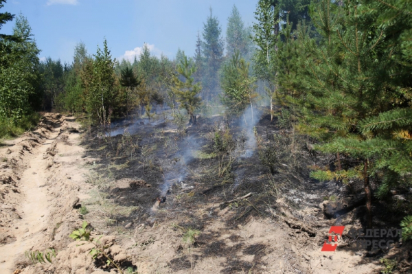На Южном Урале растет число ландшафтных пожаров